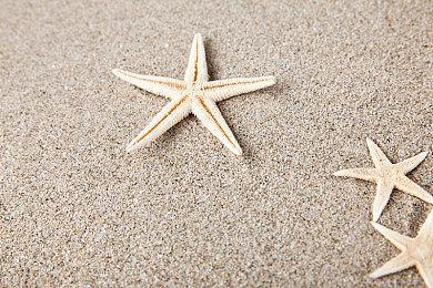 心理恐怖新作《受诅咒的数位相机》上架Steam平台